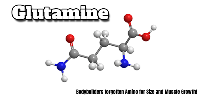Glutmine: Bodybuilders forgotten Amino for Size and Muscle Growth